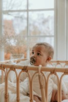 Пустышка BIBS Boheme 0+ months Dark Oak фото №2 — интернет-магазин Desire.md