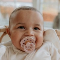 Пустышка BIBS Boheme 2 Pack 0+ months Blush/Woodchuck фото №2 — интернет-магазин Desire.md