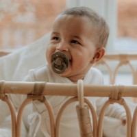 Пустышка BIBS Boheme 2 Pack 0+ months Blush/Woodchuck фото №3 — интернет-магазин Desire.md