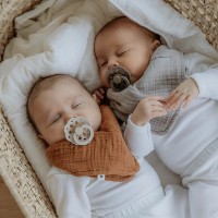 Пустышка BIBS Boheme 2 Pack 0+ months Ivory/Sage фото №3 — интернет-магазин Desire.md