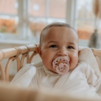 Suzeta BIBS Boheme 2 Pack 6+ months Blush/Woodchuck imaginea #4 — magazin online Desire.md