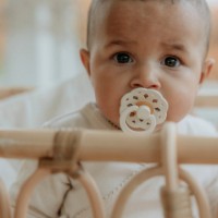 Suzeta BIBS Boheme 2 Pack 6+ months Ivory/Sage imaginea #2 — magazin online Desire.md