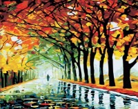 Картина по номерам PRC Toamnă pe Stradă 40x50cm 03727