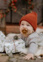 Пустышка BIBS Colour 0+ months Caramel фото №3 — интернет-магазин Desire.md