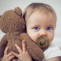 Suzeta BIBS Colour 0+ months Dark Oak imaginea #3 — magazin online Desire.md