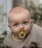 Suzeta BIBS Colour 0+ months Meadow imaginea #3 — magazin online Desire.md