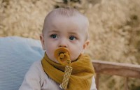 Suzeta BIBS Colour 6+ months Honey Bee imaginea #3 — magazin online Desire.md