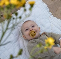 Пустышка BIBS De Lux 0-36month Honey Bee фото №3 — интернет-магазин Desire.md