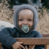 Пустышка BIBS De Lux 0-36 month Nordic Mint фото №3 — интернет-магазин Desire.md