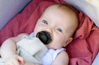 Пустышка BIBS De Lux 0-36months Black фото №2 — интернет-магазин Desire.md