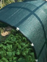 Plasa pentru umbra Tenax Soleado PRO (1x100) imaginea #2 — magazin online Desire.md