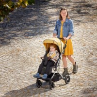 Коляска Chipolino Combo Mango (LKCO02304MA) фото №9 — интернет-магазин Desire.md