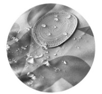 Коляска Chipolino Easy Go Ebony (LKEG02301EB) фото №7 — интернет-магазин Desire.md