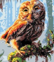 Картина по номерам PRC Bufnita 40x50cm 03970 фото №1 — интернет-магазин Desire.md