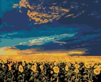 Картина по номерам PRC Campie cu Floarea Soarelui 40x50cm 02935