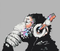 Картина по номерам PRC Maimuța 40x50cm 03048