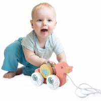 Jucarie de impins si tras Noriel Ratusca pe Rotile (INT4586) imaginea #2 — magazin online Desire.md