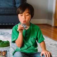 Set jucării Fun Banka Fortele Terestre 100pcs (101865-UA) imaginea #9 — magazin online Desire.md