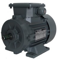 Motor electric GAMAK AGM 200 (G3003003)