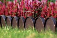 Gard decorativ pentru gradina Prosperplast Garden Line IKRA-R222 imaginea #2 — magazin online Desire.md