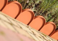 Gard decorativ pentru gradina Prosperplast Garden Line IKRA-R624 imaginea #2 — magazin online Desire.md