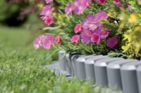 Gard decorativ pentru gradina Prosperplast IPAL6-S443 imaginea #2 — magazin online Desire.md