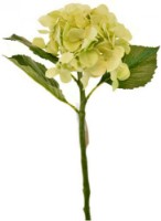 Декоративный цветок Casa Masa 48cm (L17307/GR)