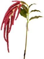 Floare decorativă Casa Masa Amaranthus 110cm Pink (L19717/PK)