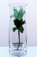 Ваза Casa Masa Cilindrica 30x12cm (BV596) фото №2 — интернет-магазин Desire.md