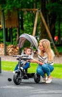 Bicicletă copii Qplay Rito Star Grey  imaginea #8 — magazin online Desire.md