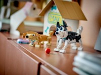 Set de construcție Lego Creator: Adorable Dogs (31137) imaginea #8 — magazin online Desire.md