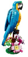 Set de construcție Lego Creator: Exotic Parrot (31136) imaginea #2 — magazin online Desire.md