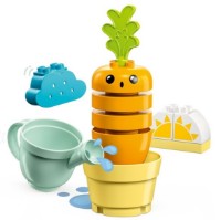 Конструктор Lego Duplo: Growing Carrot (10981) фото №2 — интернет-магазин Desire.md