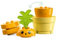 Конструктор Lego Duplo: Growing Carrot (10981) фото №3 — интернет-магазин Desire.md
