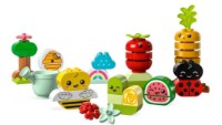 Set de construcție Lego Duplo: Organic Garden (10984)