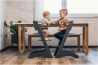 Scaun de masa FreeOn Lunch (44428) imaginea #4 — magazin online Desire.md