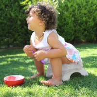 Oala-scaunel BabyJem 2in1 Portable Seat (591) imaginea #2 — magazin online Desire.md