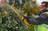 Кусторез аккумуляторный DeWalt DCM563PB фото №7 — интернет-магазин Desire.md