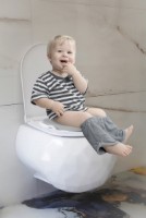 Детское сиденье для унитаза BabyJem Grey (007)
