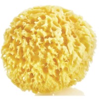 Burete de baie pentru copii BabyJem Sea Sponge (163)