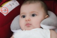 Salteluta reductor pentru scaun auto BabyJem Thermal (639) imaginea #2 — magazin online Desire.md