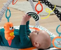 Игровой коврик Fisher Price Glow and grow (HBP41) фото №2 — интернет-магазин Desire.md