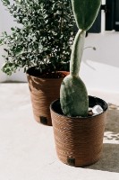 Ghiveci Prosperplast Furu Round Low ECO Wood DFR300W-4665W imaginea #2 — magazin online Desire.md