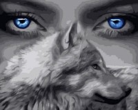 Картина по номерам Strateg Глаза волка (VA-3173)