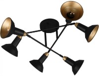 Потолочный светильник Trio 611900632