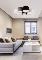 Потолочный светильник Trio 693900517 фото №3 — интернет-магазин Desire.md