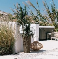 Ghiveci Prosperplast Furu Slim ECO Wood DFRH300W-4625W imaginea #3 — magazin online Desire.md