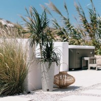 Цветочный горшок Prosperplast Furu Slim ECO Wood DFRH300W-S449W фото №4 — интернет-магазин Desire.md