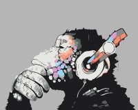 Алмазная картина по номерам PRC Maimuta DJ 40x50 (05851)