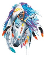 Алмазная картина по номерам PRC Cal misterios 40x50 (06759) фото №1 — интернет-магазин Desire.md